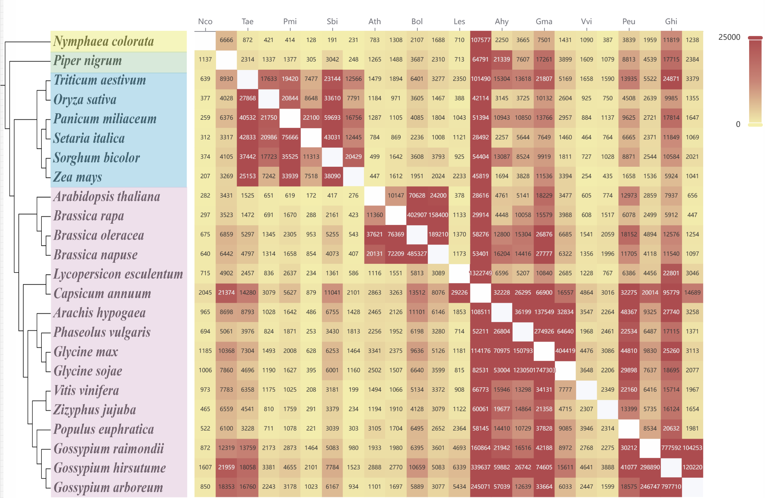 Publication Chart