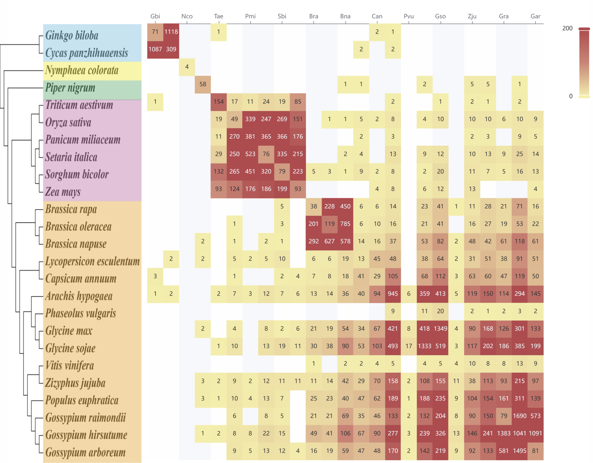 Publication Chart