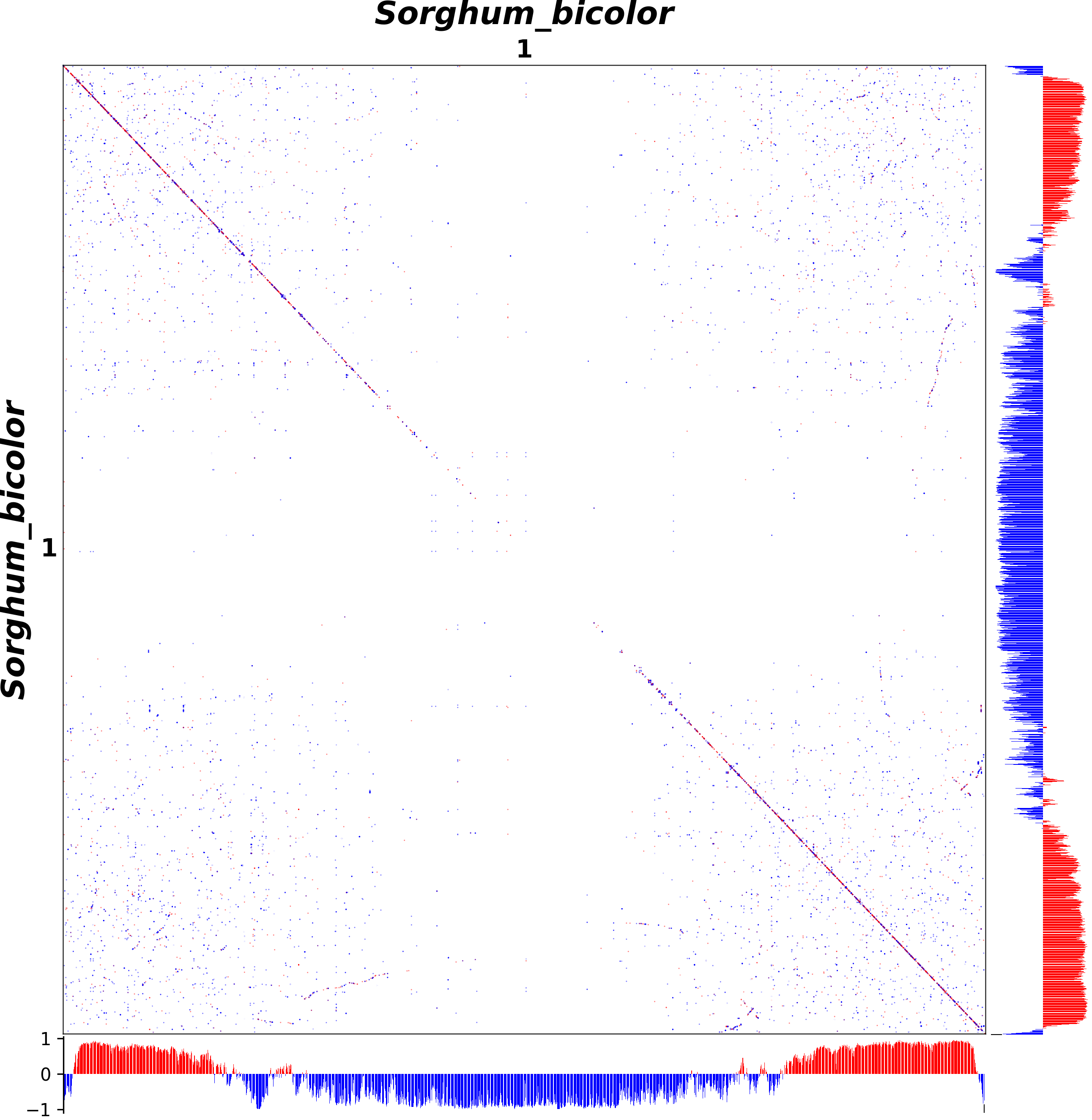 Sbi1 Image