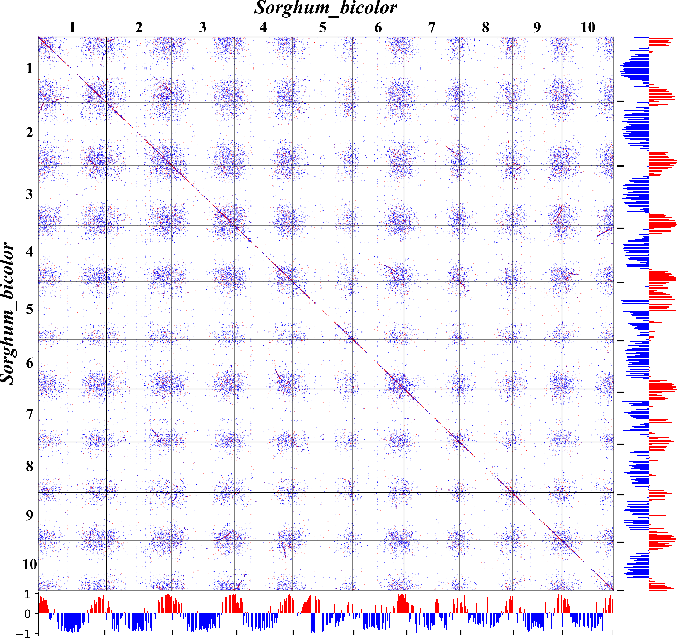 Sbi Image